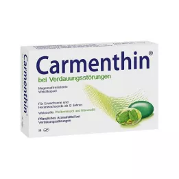 CARMENTHIN for digestive disorders msr.Soft capsules, 14 pcs
