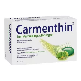 CARMENTHIN for digestive disorders msr.Soft capsules, 42 pcs