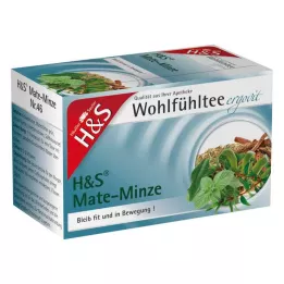 H&S Mate Mint Filter Bags, 20X1.8g