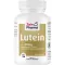 LUTEIN 20 mg capsules micro -clay, 60 pcs