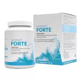 LACTOBACT Forte gastro-resistant capsules, 120 pcs