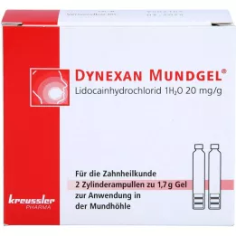 DYNEXAN Mouth gel cylinder ampoules, 2X1.7 g