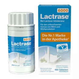 LACTRASE 6,000 FCC Tbl.Click dispenser refill pack, 480 pcs