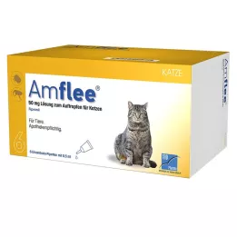 Amflee 50 mg solution for dripping for cats, 6 pcs