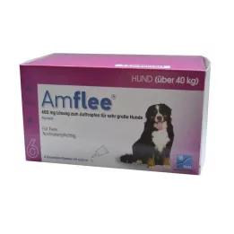 Amflee 402 mg solution for dripping for very large dogs, 6 pcs