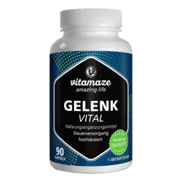 GELENK VITAL capsules, 90 pcs