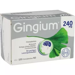 GINGIUM 240 mg film -coated tablets, 120 pcs