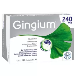 GINGIUM 240 mg film-coated tablets, 120 pcs