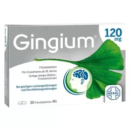 GINGIUM 120 mg film-coated tablets, 30 pcs