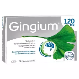 GINGIUM 120 mg film-coated tablets, 60 pcs