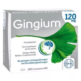 GINGIUM 120 mg film-coated tablets, 120 pcs