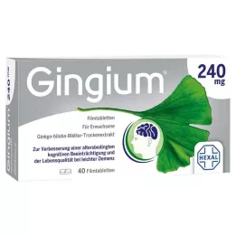 GINGIUM 240 mg film-coated tablets, 40 pcs