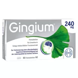 GINGIUM 240 mg film-coated tablets, 60 pcs