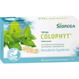 SIDROGA Colophyt 182 mg gastrointestinal capsules, 60 pcs
