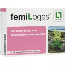 FEMILOGES Gastroke -resistant tablets, 90 pcs
