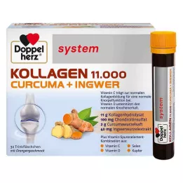 DOPPELHERZ Collagen 11,000 Curcuma+Gingw.system TRA, 30X25 ml
