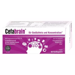 CEFABRAIN Hard capsules, 60 pcs