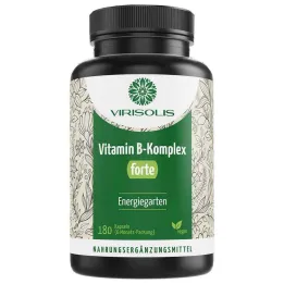 Virisolis Vitamin B Complex Forte 6-Mon.vegan Capsules, 180 pcs