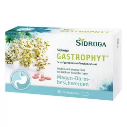 SIDROGA GastroPhyt 250 mg film-coated tablets, 30 pcs