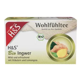 H&S Organic Ginger Filter Bags, 20X2 g