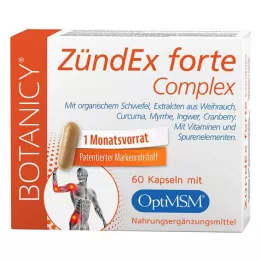 ZÜNDEX forte Complex with OptiMSM capsules, 60 pcs