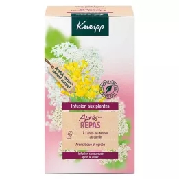 KNEIPP Herbal Tea After Meal Filter Bags, 20 pcs