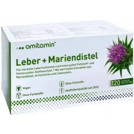 Amitamin milk thistle + liver capsules (120 pieces)
