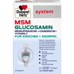 DOPPELHERZ MSM Glucosamin system capsules, 60 pcs