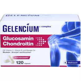 GELENCIUM Glucosamine chondroitin high-dose Vit C caps, 120 pcs