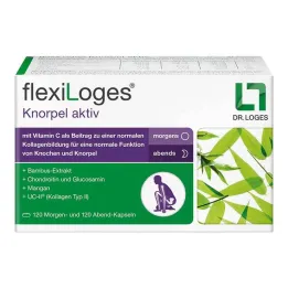 Flexiloges cartilage active capsules, 240 pieces