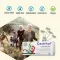 Gastritol® lozenges, 10 pcs