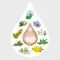 Amara drops dilution, 20 ml