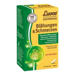 Luvos Gastrosan Flatulence &amp; Pain Capsules, 30 pcs
